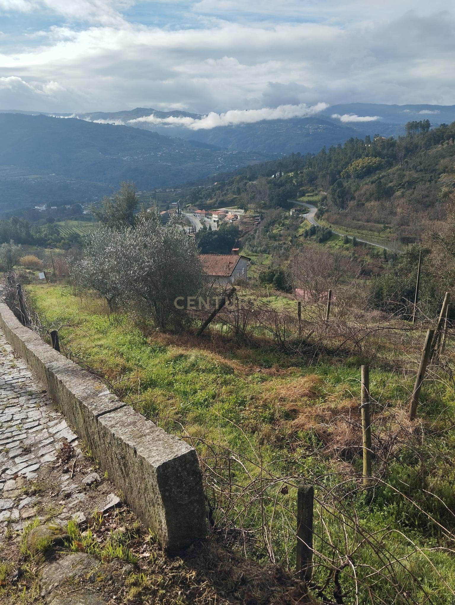 Terreno com projeto para dispensa agrícola em Santa Cruz do Douro, Baião - Image 4