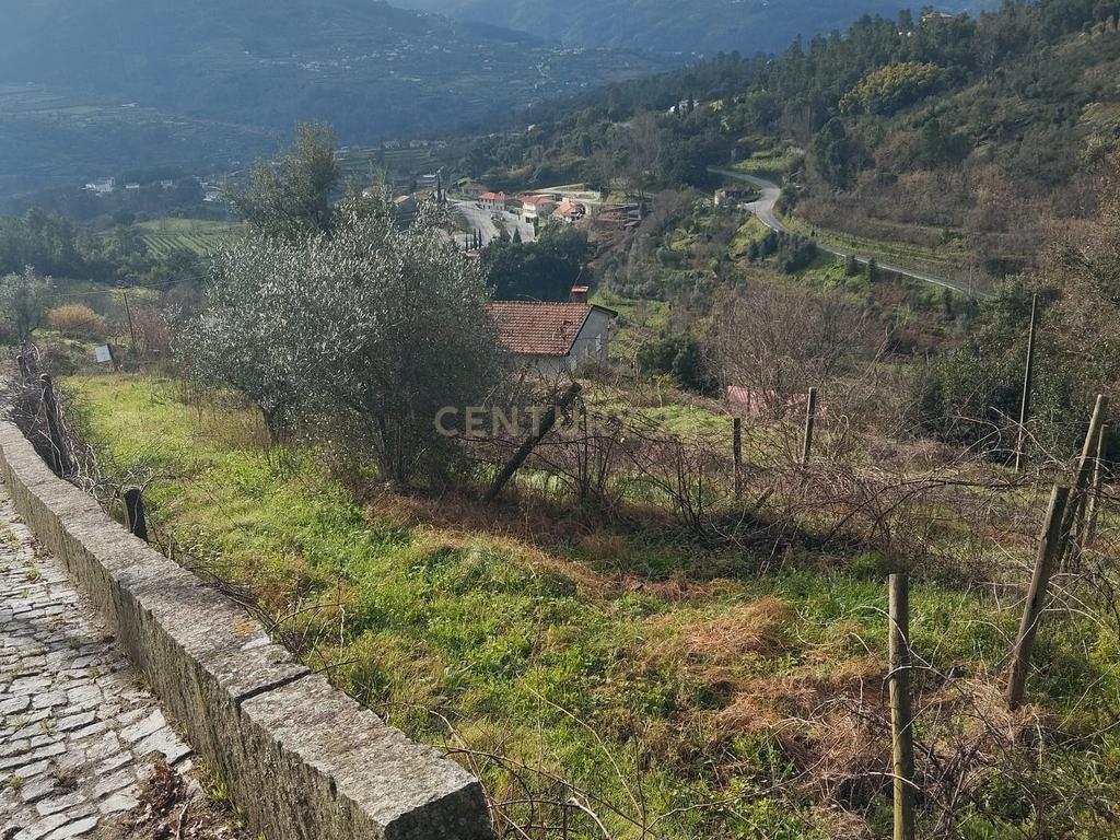 Terreno com projeto para dispensa agrícola em Santa Cruz do Douro, Baião - Image 4