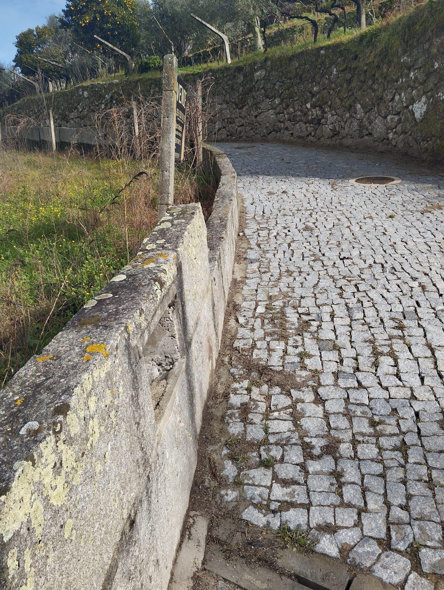 Terreno com projeto para dispensa agrícola em Santa Cruz do Douro, Baião - Image 8