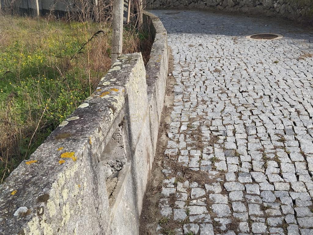 Terreno com projeto para dispensa agrícola em Santa Cruz do Douro, Baião - Image 8