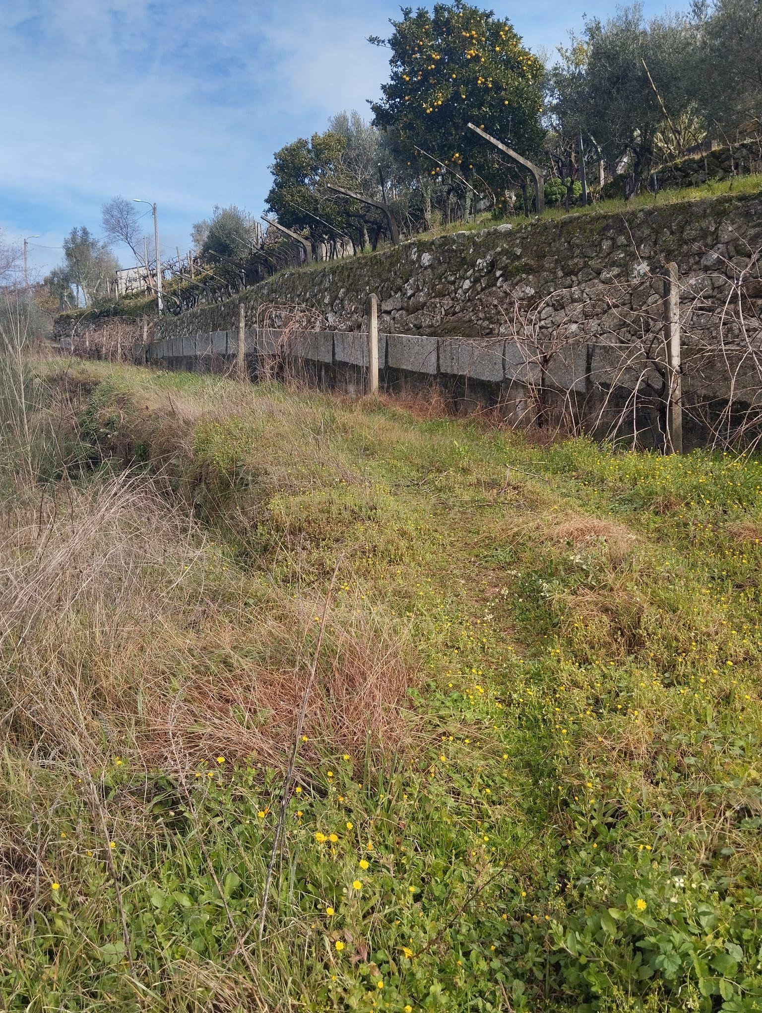Terreno com projeto para dispensa agrícola em Santa Cruz do Douro, Baião - Image 9