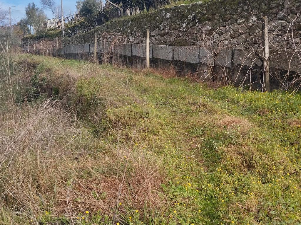 Terreno com projeto para dispensa agrícola em Santa Cruz do Douro, Baião - Image 9