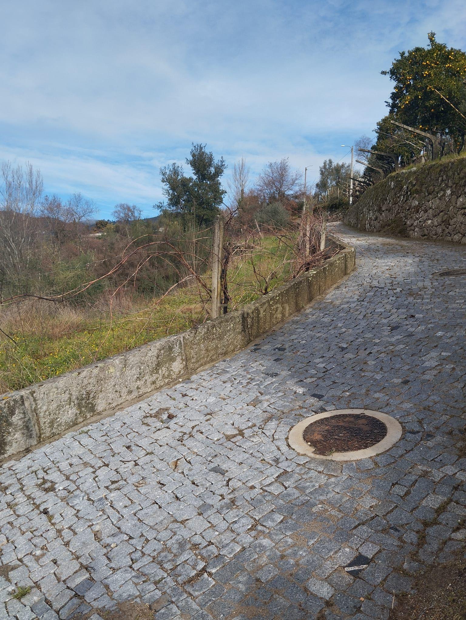 Terreno com projeto para dispensa agrícola em Santa Cruz do Douro, Baião - Image 3
