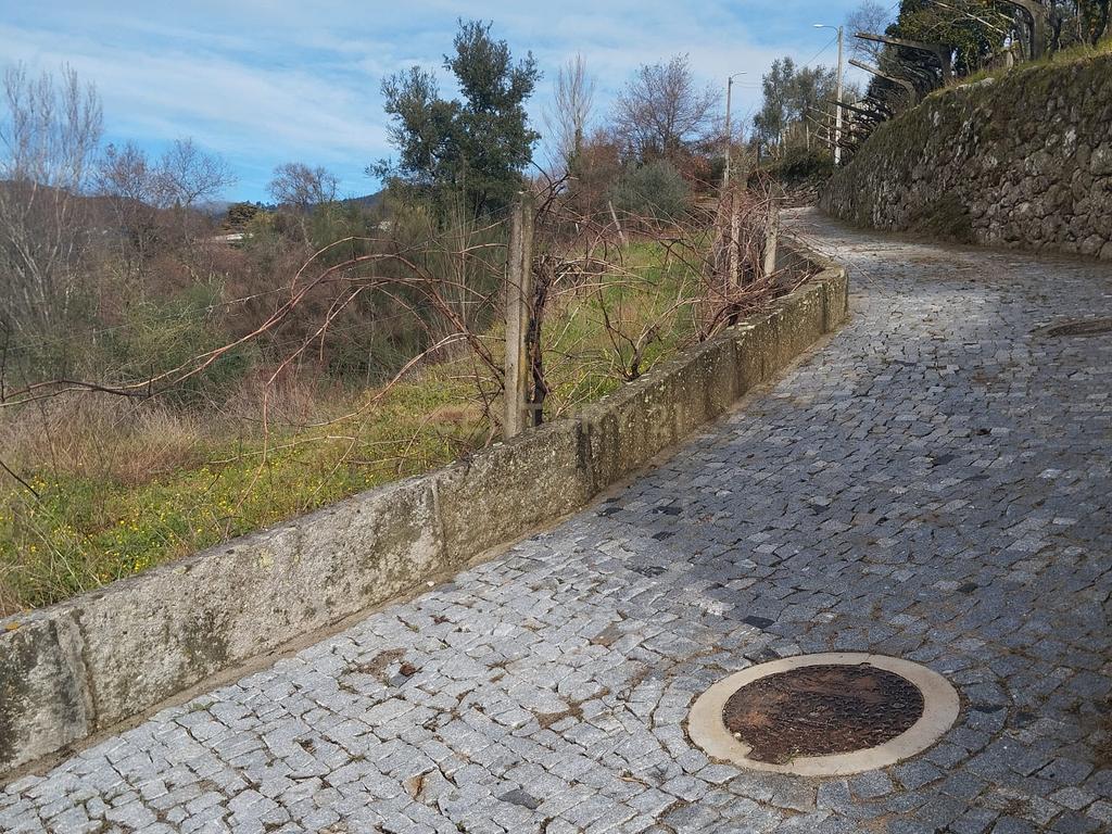 Terreno com projeto para dispensa agrícola em Santa Cruz do Douro, Baião - Image 3