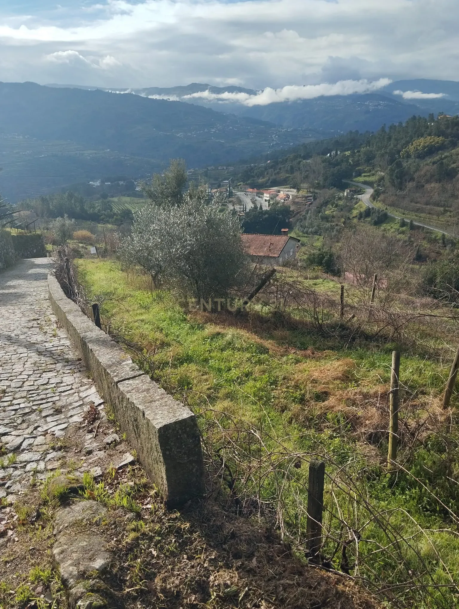 Terreno com projeto para dispensa agrícola em Santa Cruz do Douro, Baião - Image 1