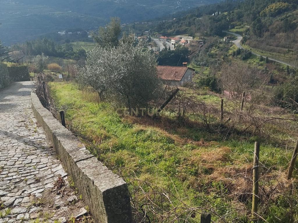 Terreno com projeto para dispensa agrícola em Santa Cruz do Douro, Baião - Image 1