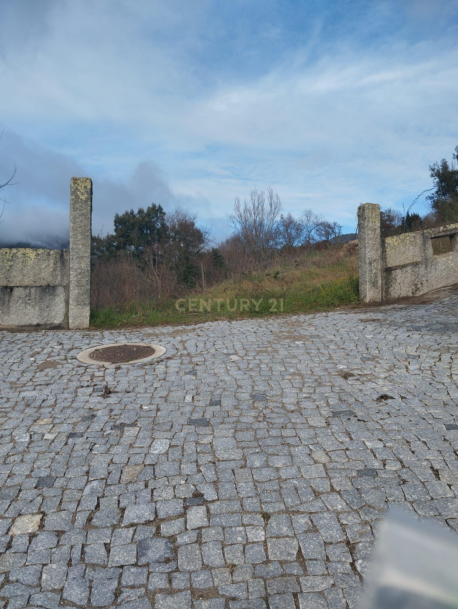 Terreno com projeto para dispensa agrícola em Santa Cruz do Douro, Baião - Image 5
