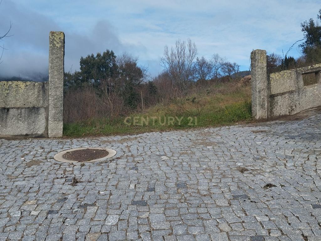 Terreno com projeto para dispensa agrícola em Santa Cruz do Douro, Baião - Image 5