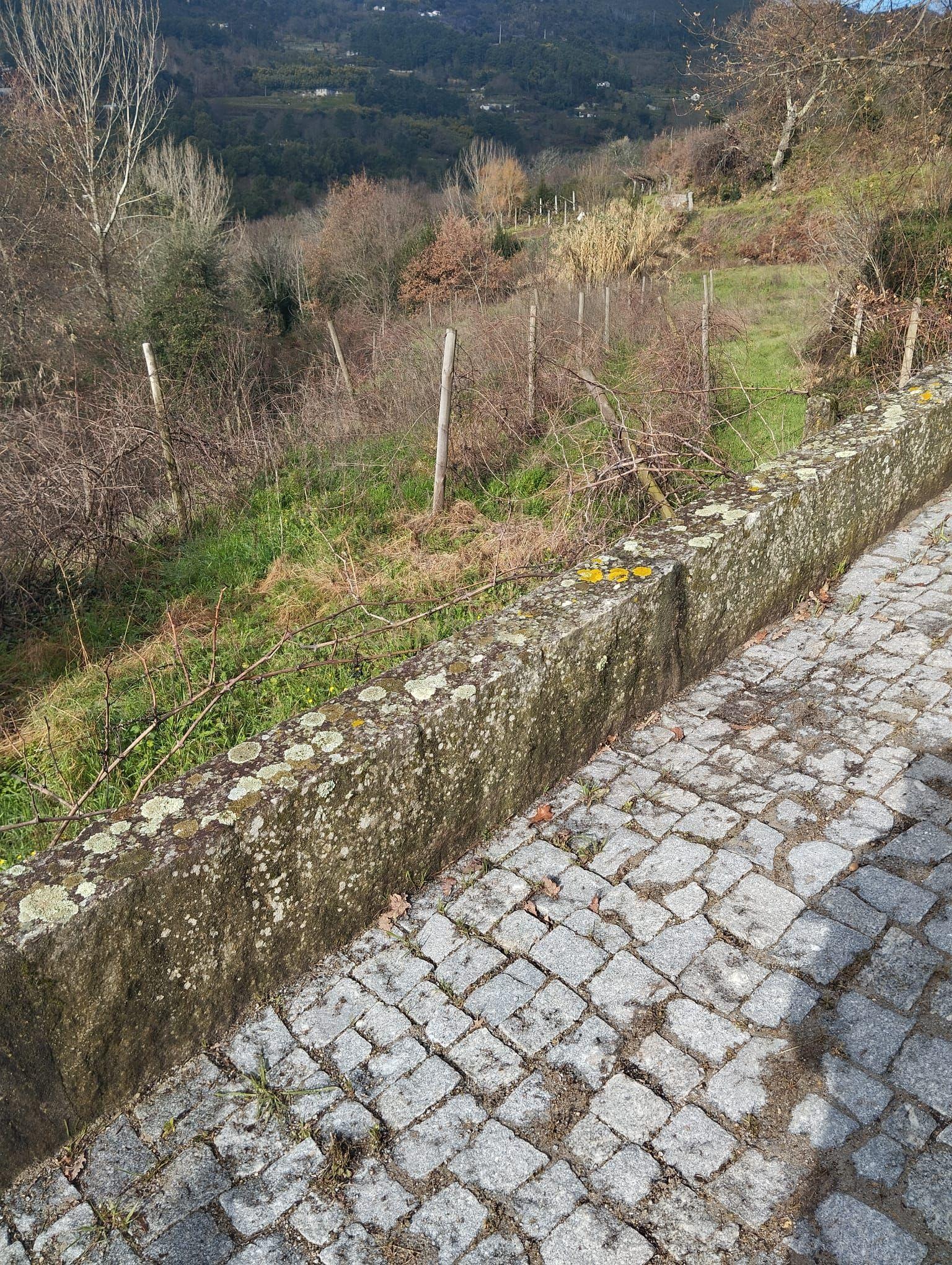 Terreno com projeto para dispensa agrícola em Santa Cruz do Douro, Baião - Image 6