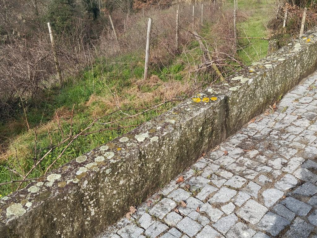 Terreno com projeto para dispensa agrícola em Santa Cruz do Douro, Baião - Image 6