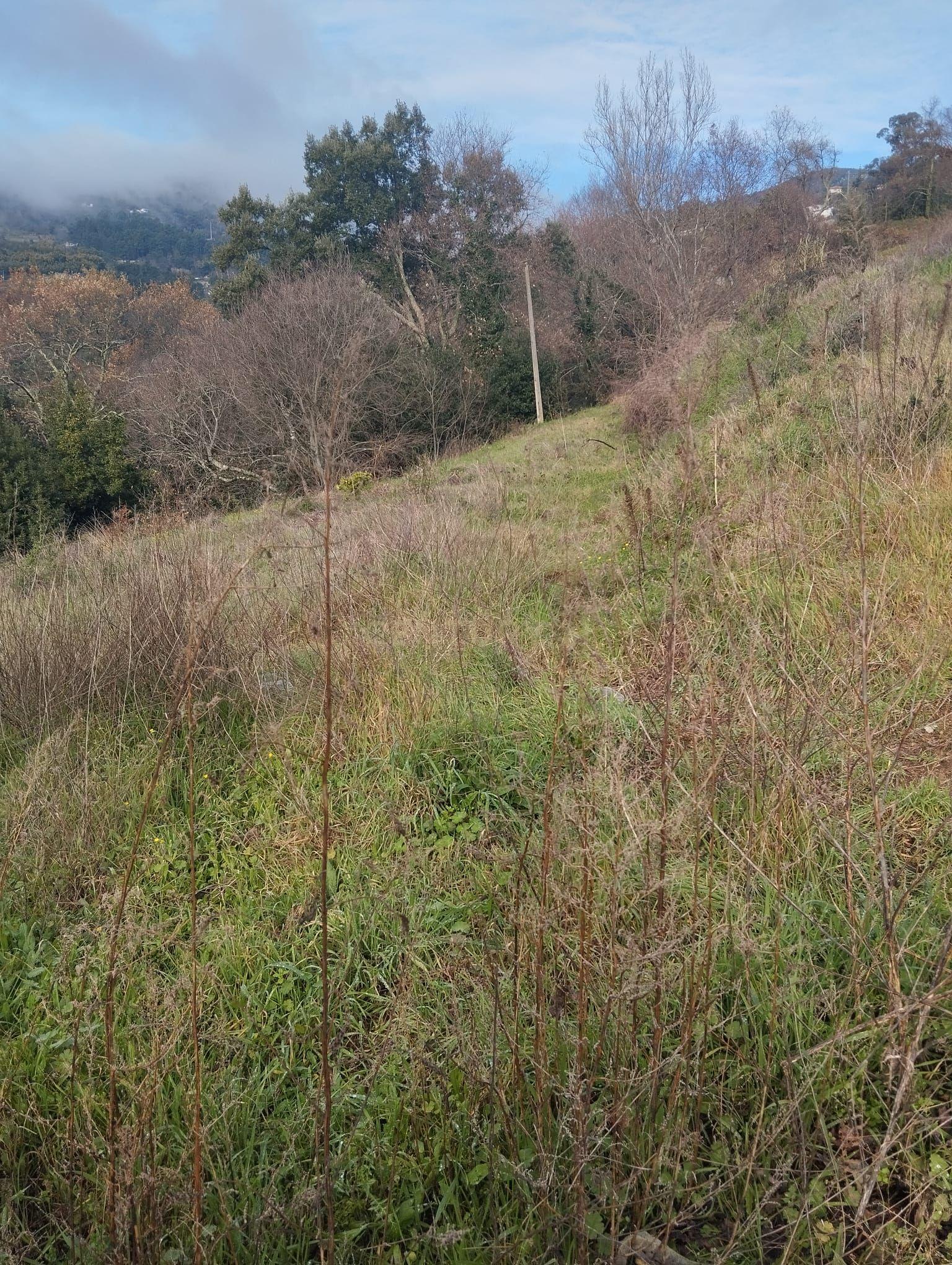 Terreno com projeto para dispensa agrícola em Santa Cruz do Douro, Baião - Image 2