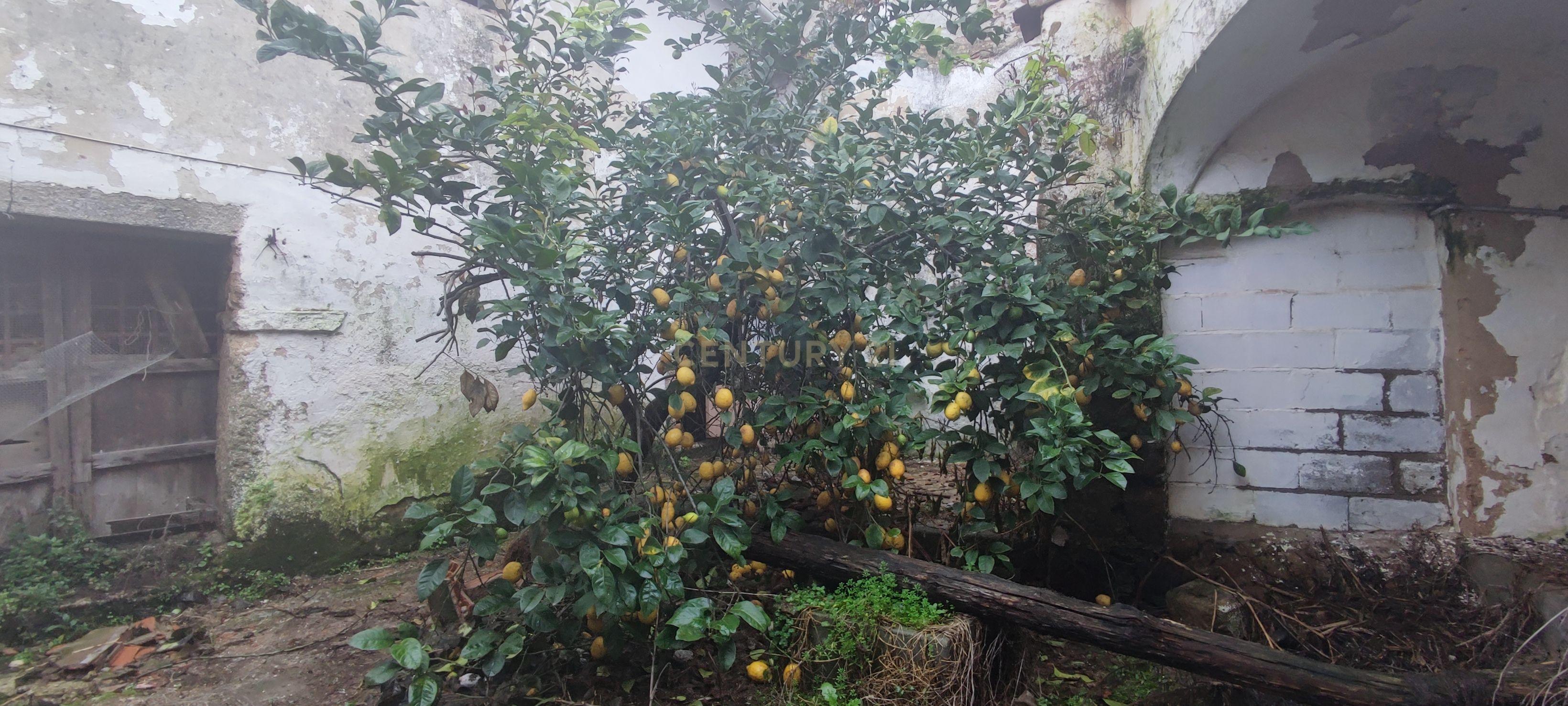 undefined - Image 18