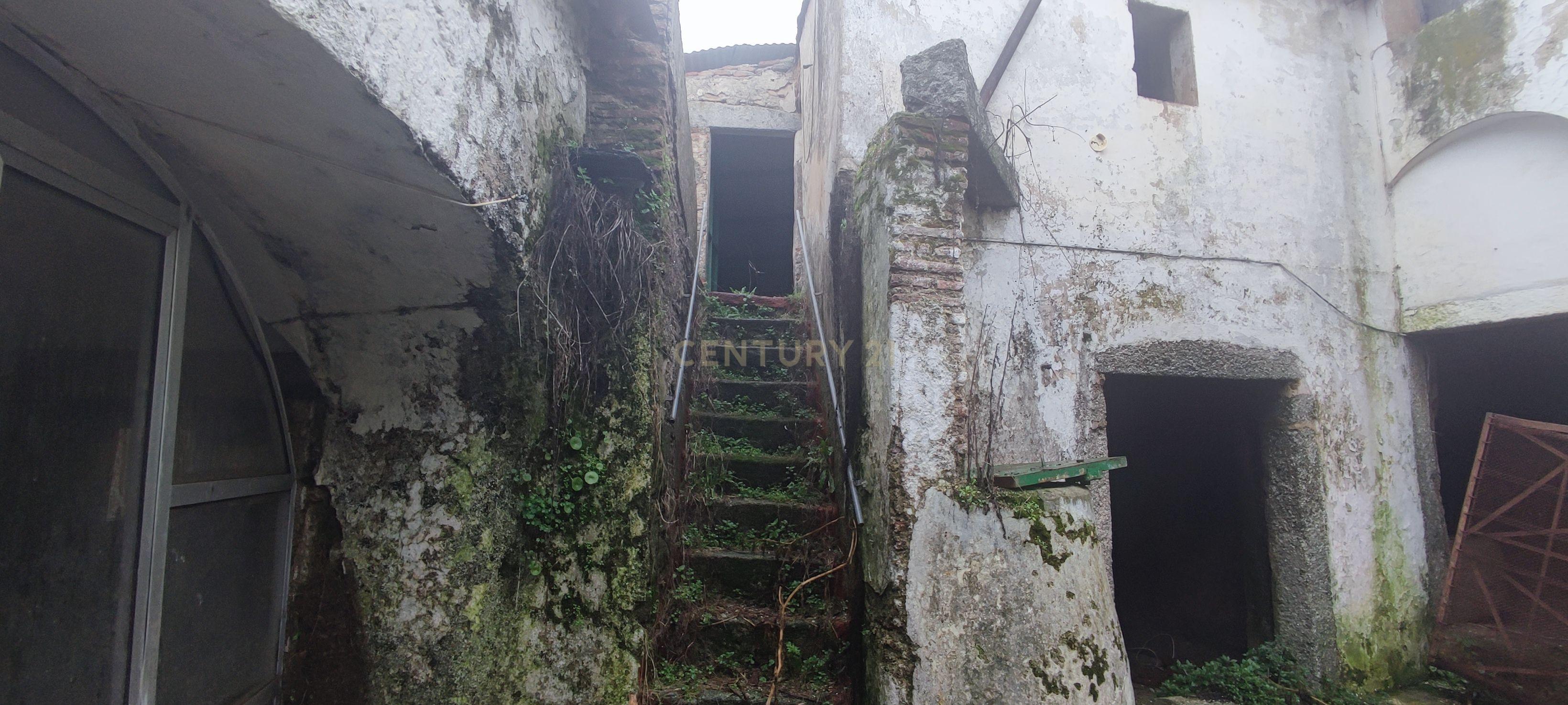 undefined - Image 19