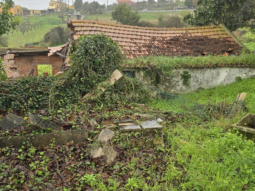 Prédio misto com um terreno rústico de 16.960 m² - Image 2