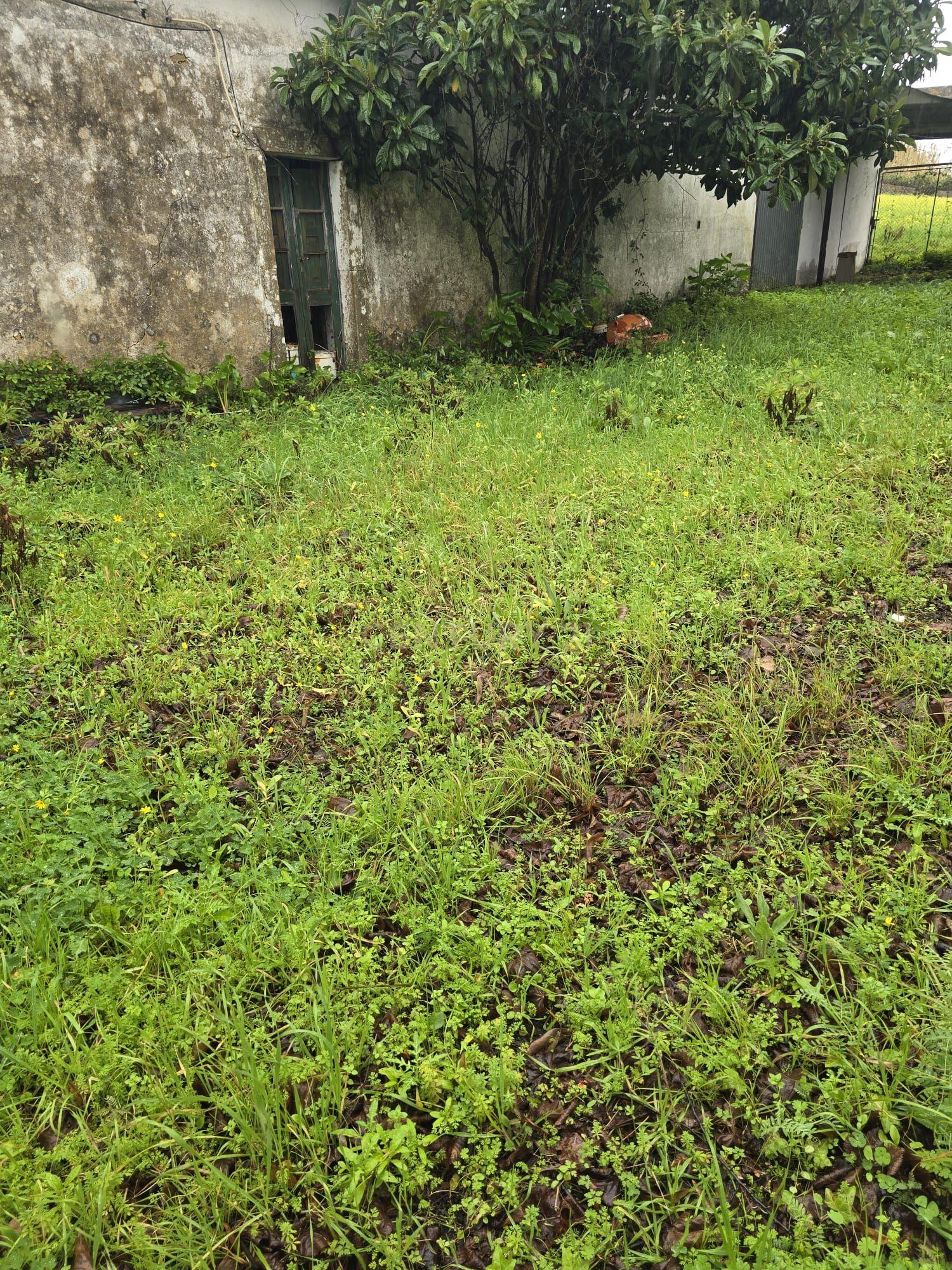 Prédio misto com um terreno rústico de 16.960 m² - Image 7