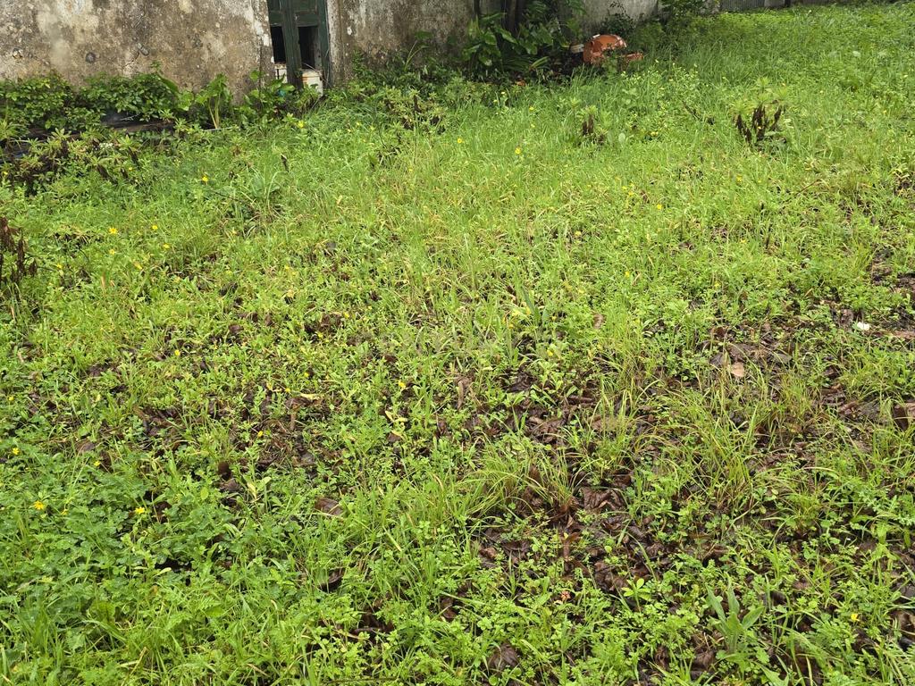Prédio misto com um terreno rústico de 16.960 m² - Image 7