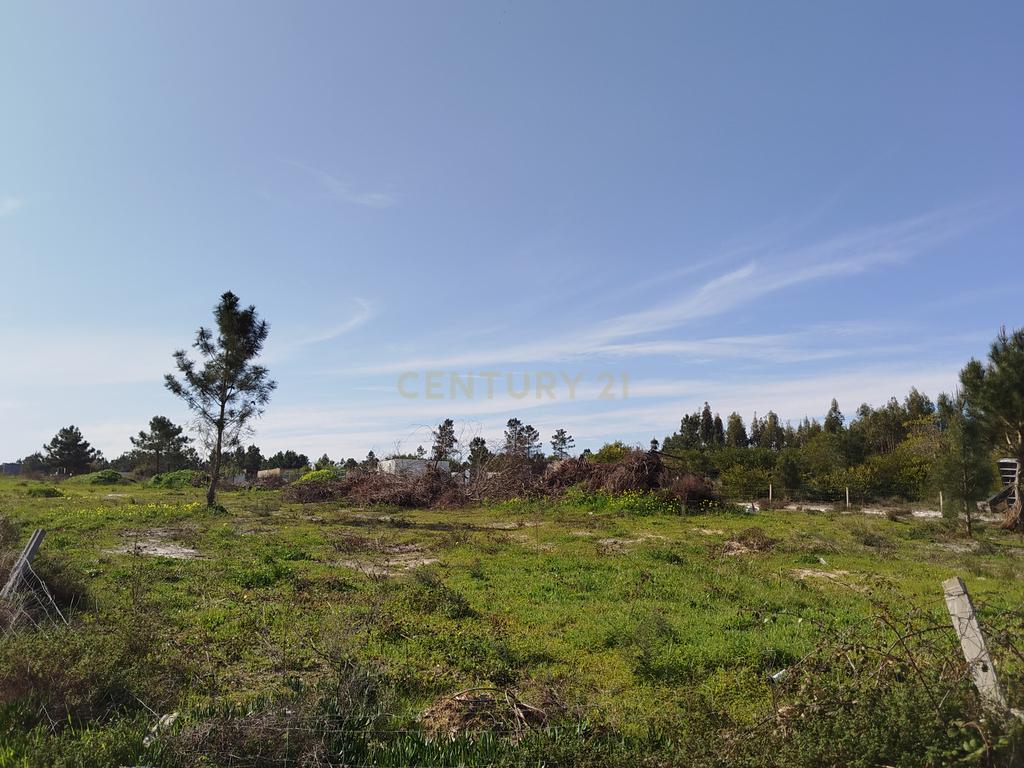 Excelente Terreno de 5478m2 Fernão Ferro – Quinta da Lobateira - Image 21
