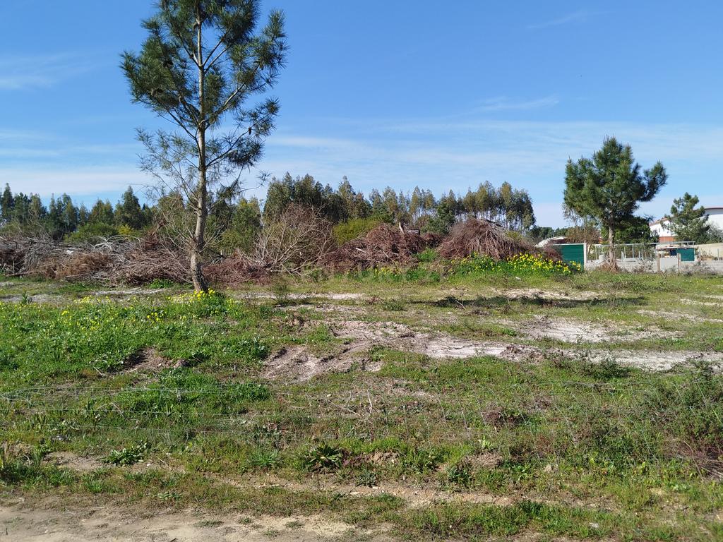 Excelente Terreno de 5478m2 Fernão Ferro – Quinta da Lobateira - Image 25