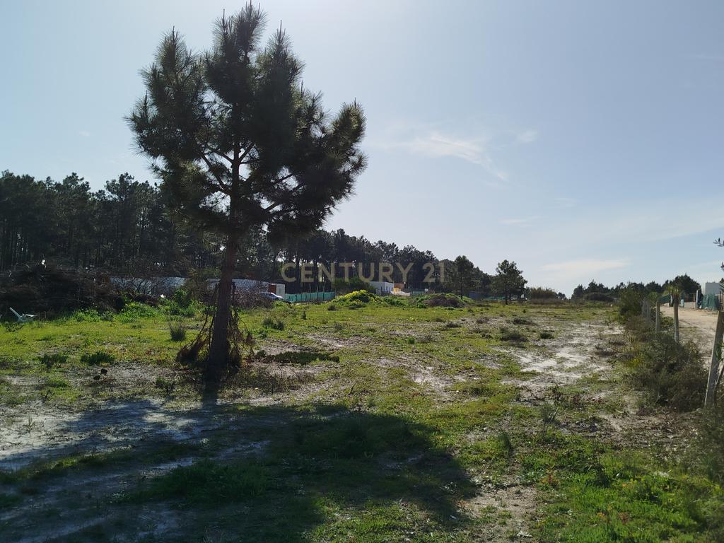 Excelente Terreno de 5478m2 Fernão Ferro – Quinta da Lobateira - Image 15