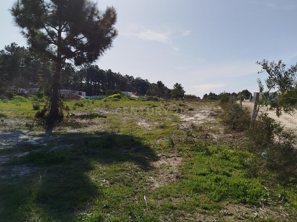 Excelente Terreno de 5478m2 Fernão Ferro – Quinta da Lobateira - Image 4