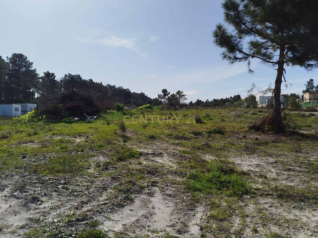 Excelente Terreno de 5478m2 Fernão Ferro – Quinta da Lobateira - Image 3