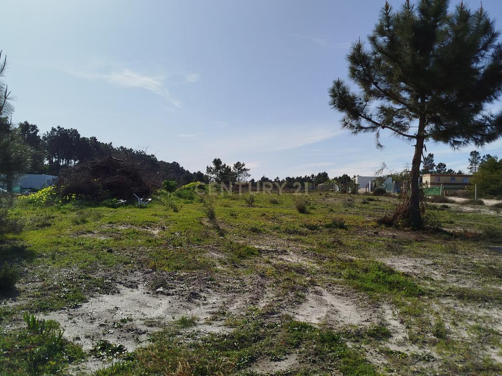 Excelente Terreno de 5478m2 Fernão Ferro – Quinta da Lobateira - Image 13