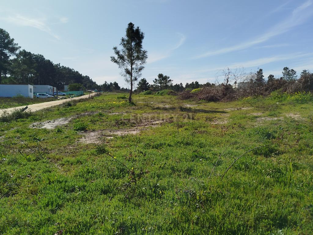 Excelente Terreno de 5478m2 Fernão Ferro – Quinta da Lobateira - Image 5