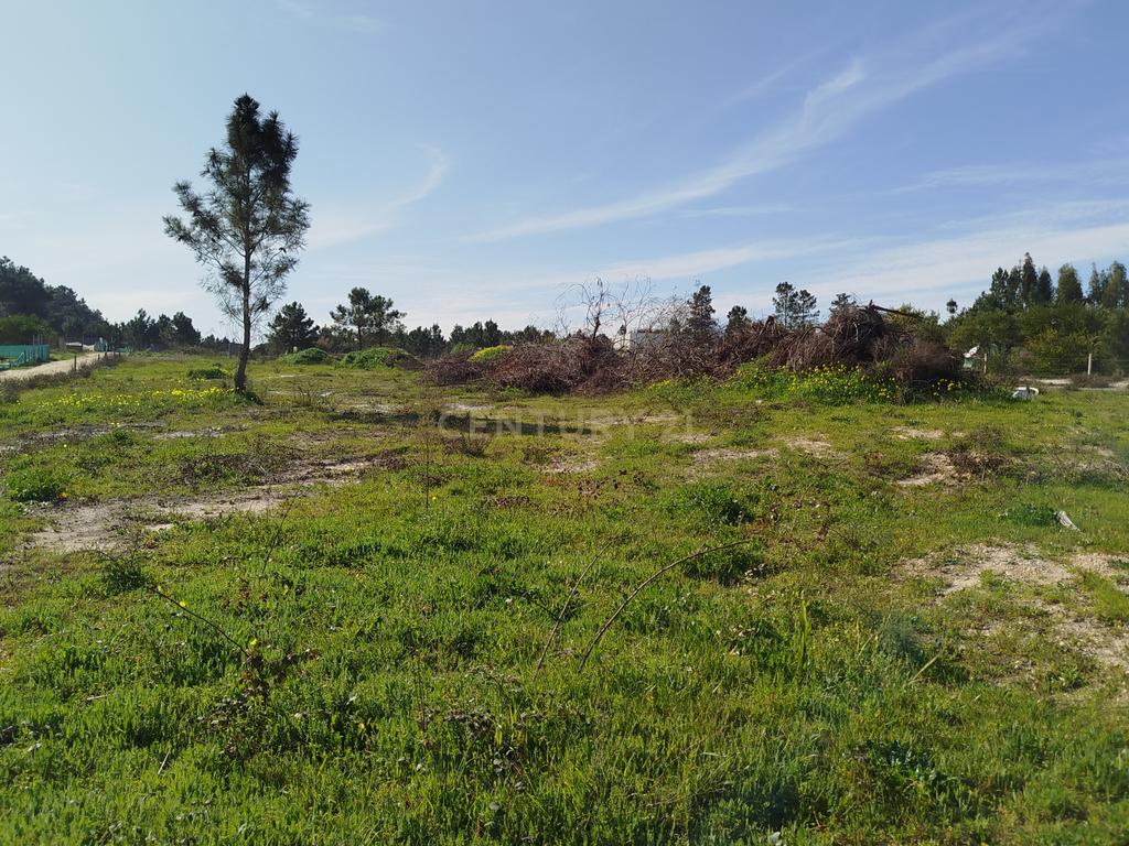 Excelente Terreno de 5478m2 Fernão Ferro – Quinta da Lobateira - Image 8