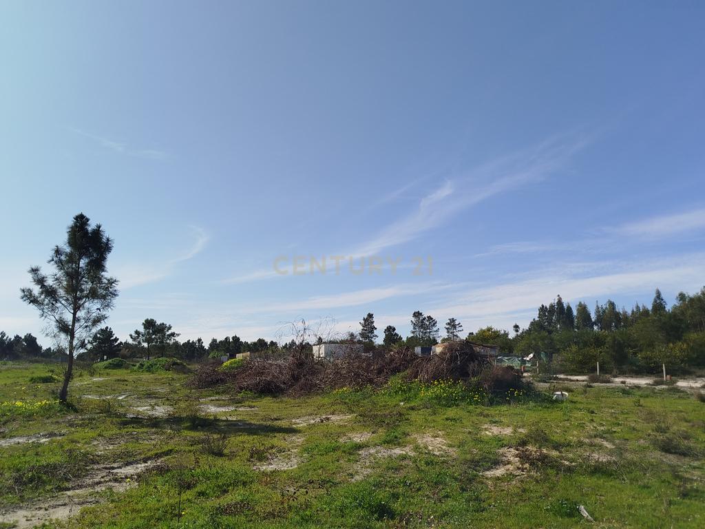 Excelente Terreno de 5478m2 Fernão Ferro – Quinta da Lobateira - Image 6