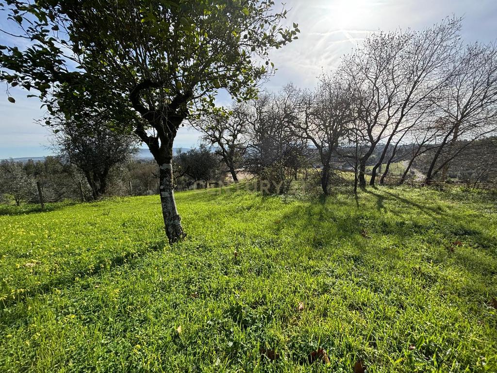Casinha Antiga em Zambujais - Image 17