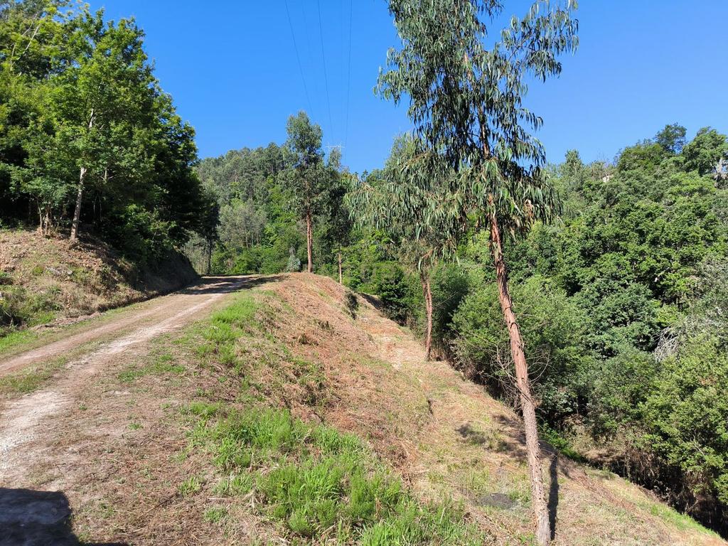 Quinta rodeada de natureza e com vistas fantásticas sobre o Rio Douro - Image 15