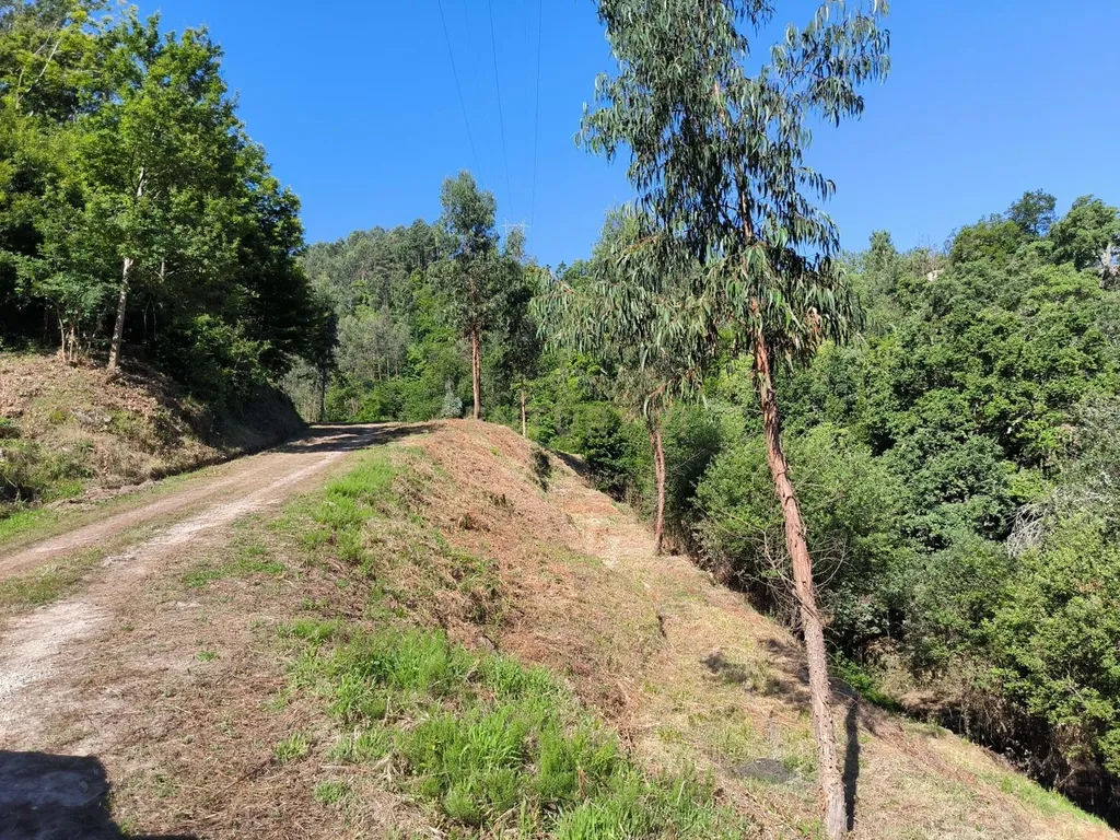 Quinta rodeada de natureza e com vistas fantásticas sobre o Rio Douro - Image 15