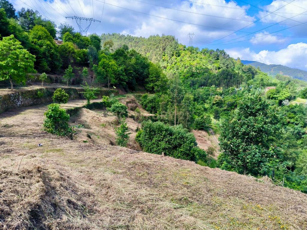 Quinta rodeada de natureza e com vistas fantásticas sobre o Rio Douro - Image 16