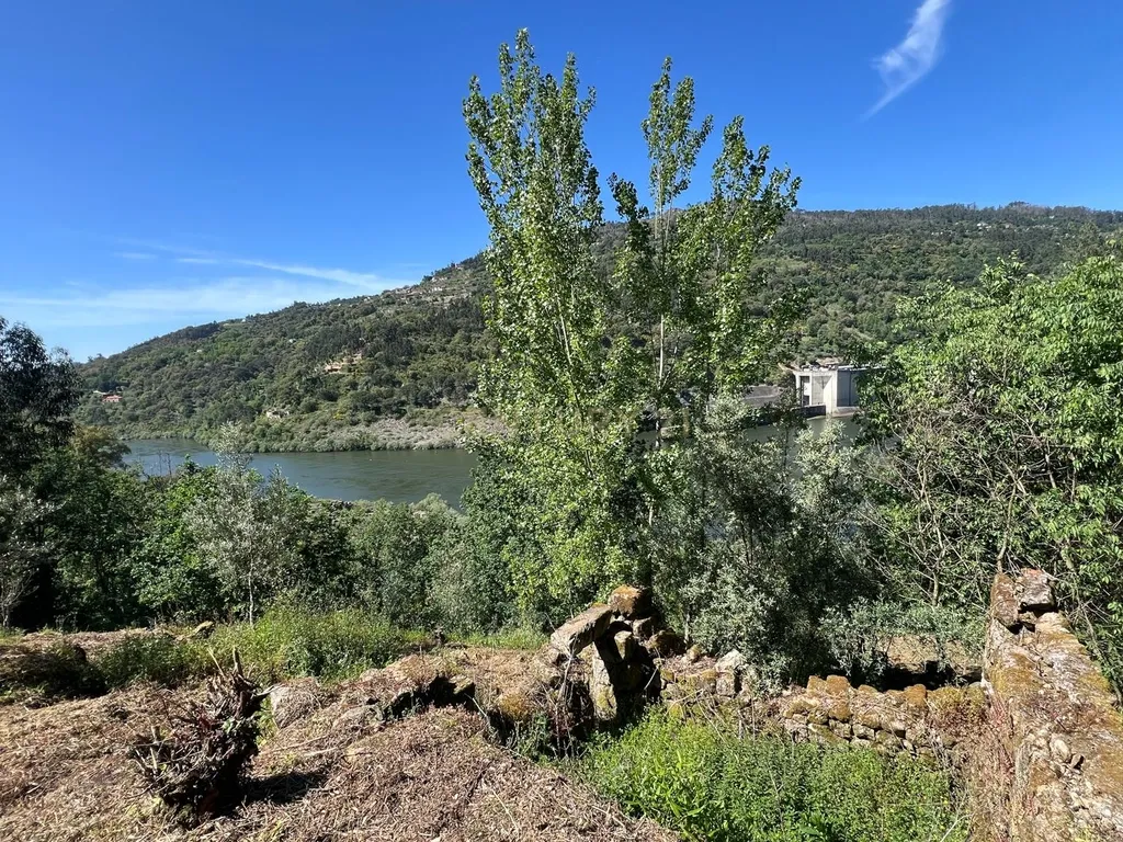 Quinta rodeada de natureza e com vistas fantásticas sobre o Rio Douro - Image 18