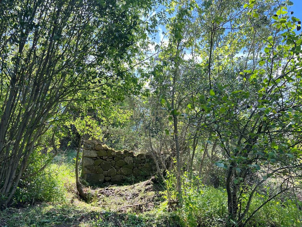 Quinta rodeada de natureza e com vistas fantásticas sobre o Rio Douro - Image 19