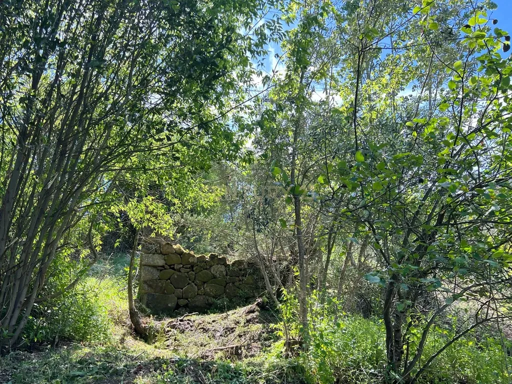 Quinta rodeada de natureza e com vistas fantásticas sobre o Rio Douro - Image 19