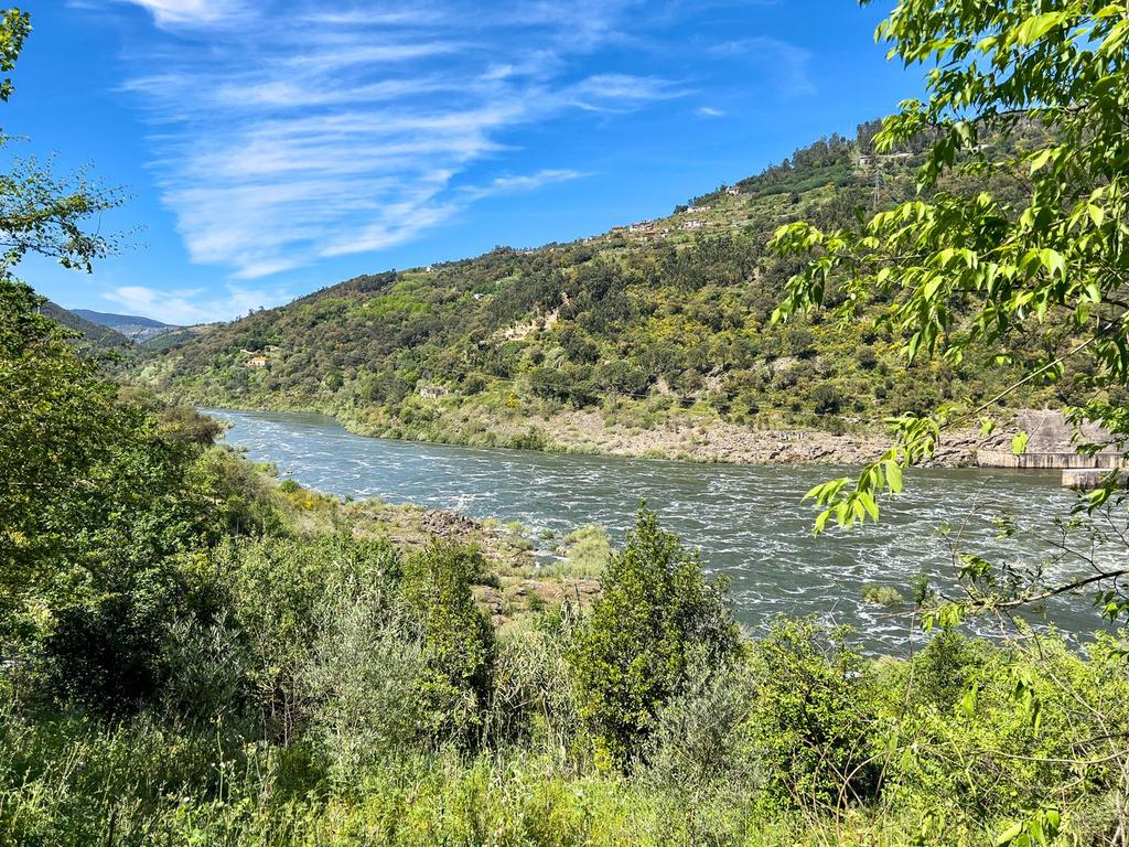 Quinta rodeada de natureza e com vistas fantásticas sobre o Rio Douro - Image 1