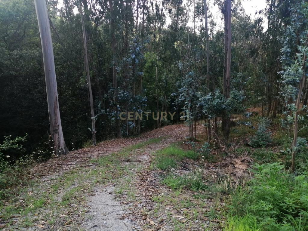 Quinta Exclusiva, rodeada de natureza e com vistas fantásticas sobre o Rio Douro - Image 18