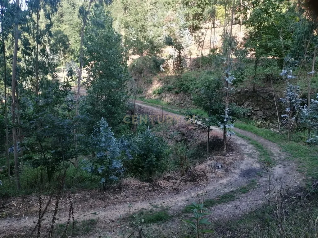 Quinta Exclusiva, rodeada de natureza e com vistas fantásticas sobre o Rio Douro - Image 2