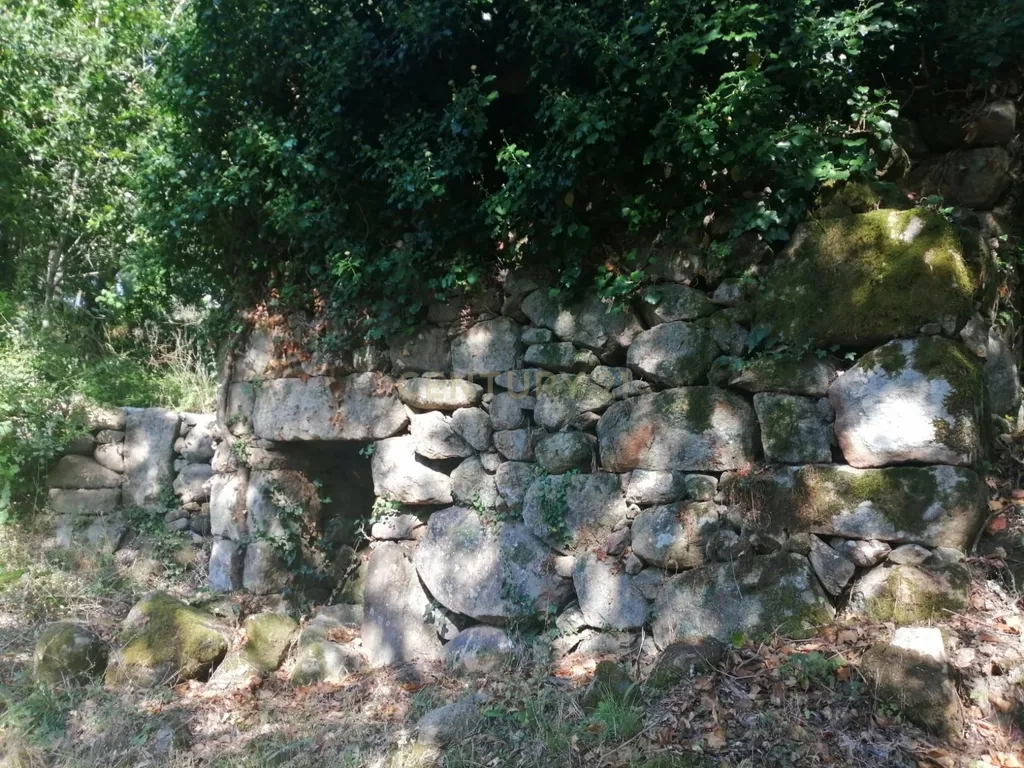 Quinta Exclusiva, rodeada de natureza e com vistas fantásticas sobre o Rio Douro - Image 3