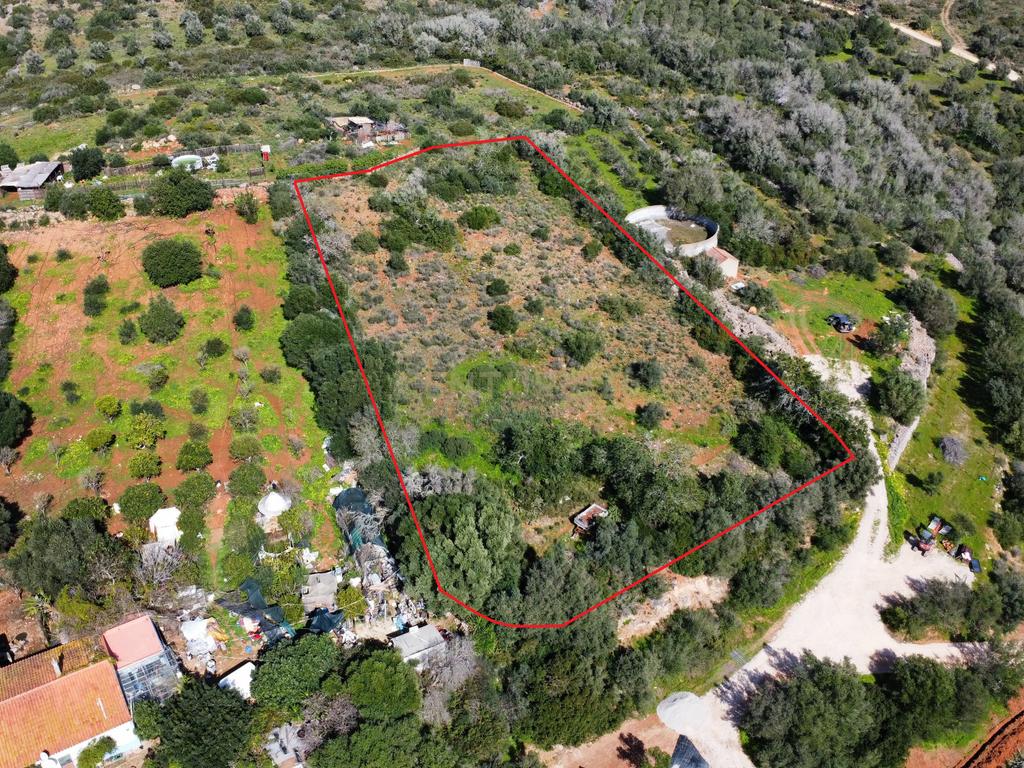 Terreno ´rústico com 4.620m2 localizado na freguesia de Poço Barreto, Conselho de Silves. - Image 3