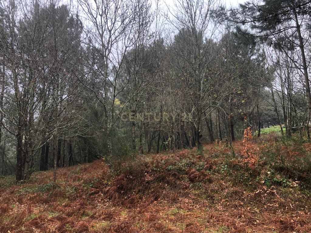 Terreno em Cornes, Vila nova de Cerveira - Image 8