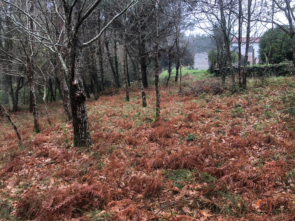 Terreno em Cornes, Vila nova de Cerveira - Image 6