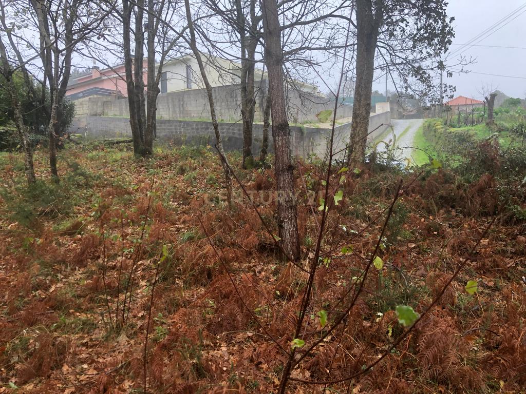 Terreno em Cornes, Vila nova de Cerveira - Image 9