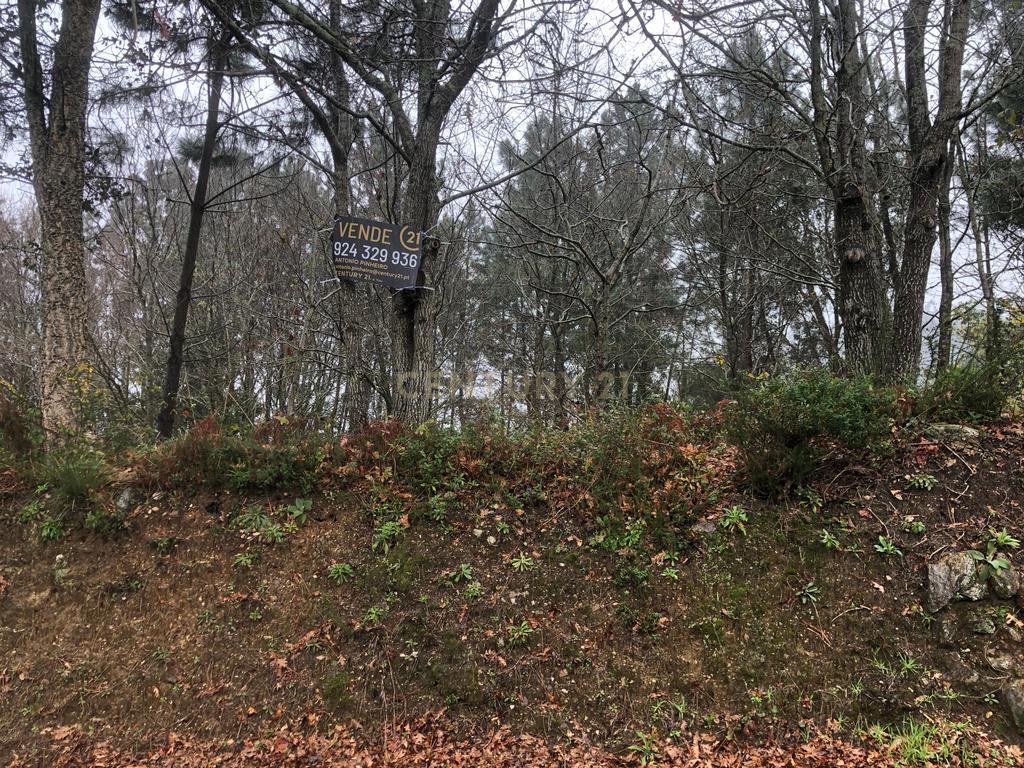 Terreno em Cornes, Vila nova de Cerveira - Image 4