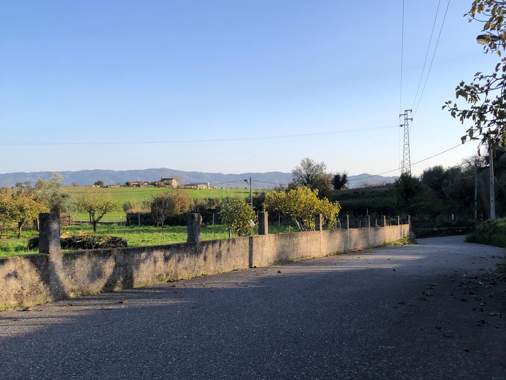 Terreno Urbano na Covilhã - Image 6