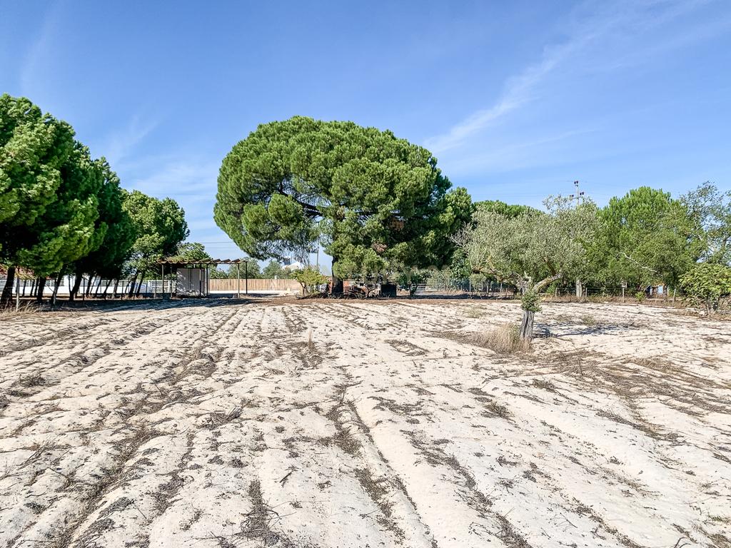 Oportunidade de Investimento - Terreno Rústico , Grândola! - Image 3