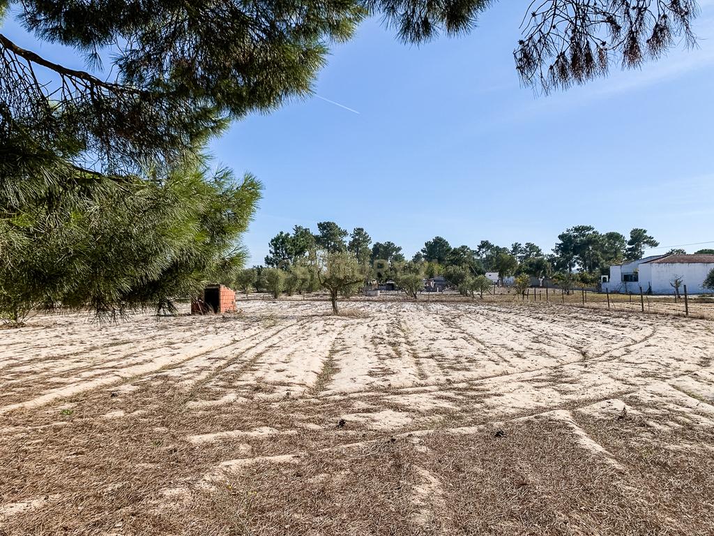 Oportunidade de Investimento - Terreno Rústico , Grândola! - Image 13
