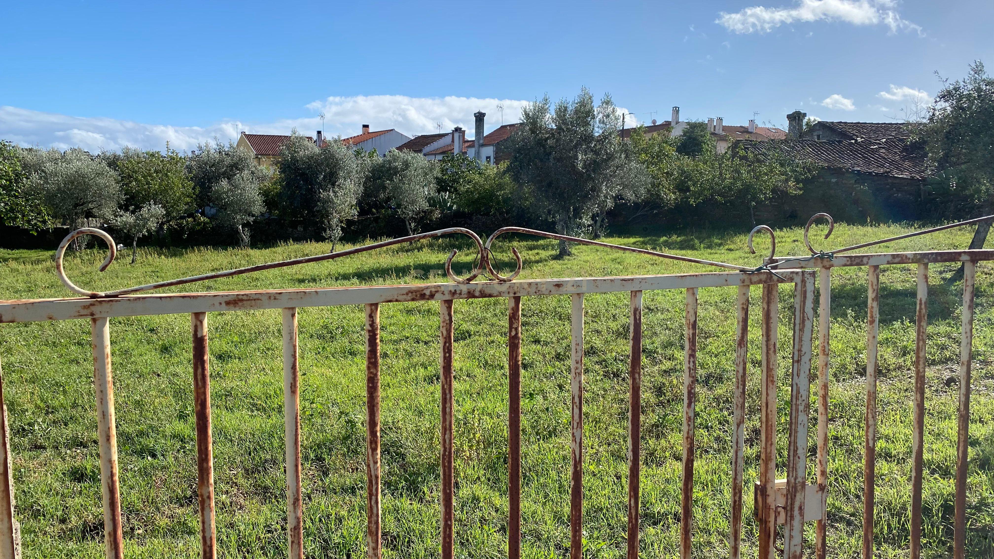 Terreno Rústico com 1360m2 em Benquerenças - Castelo Branco - Image 3