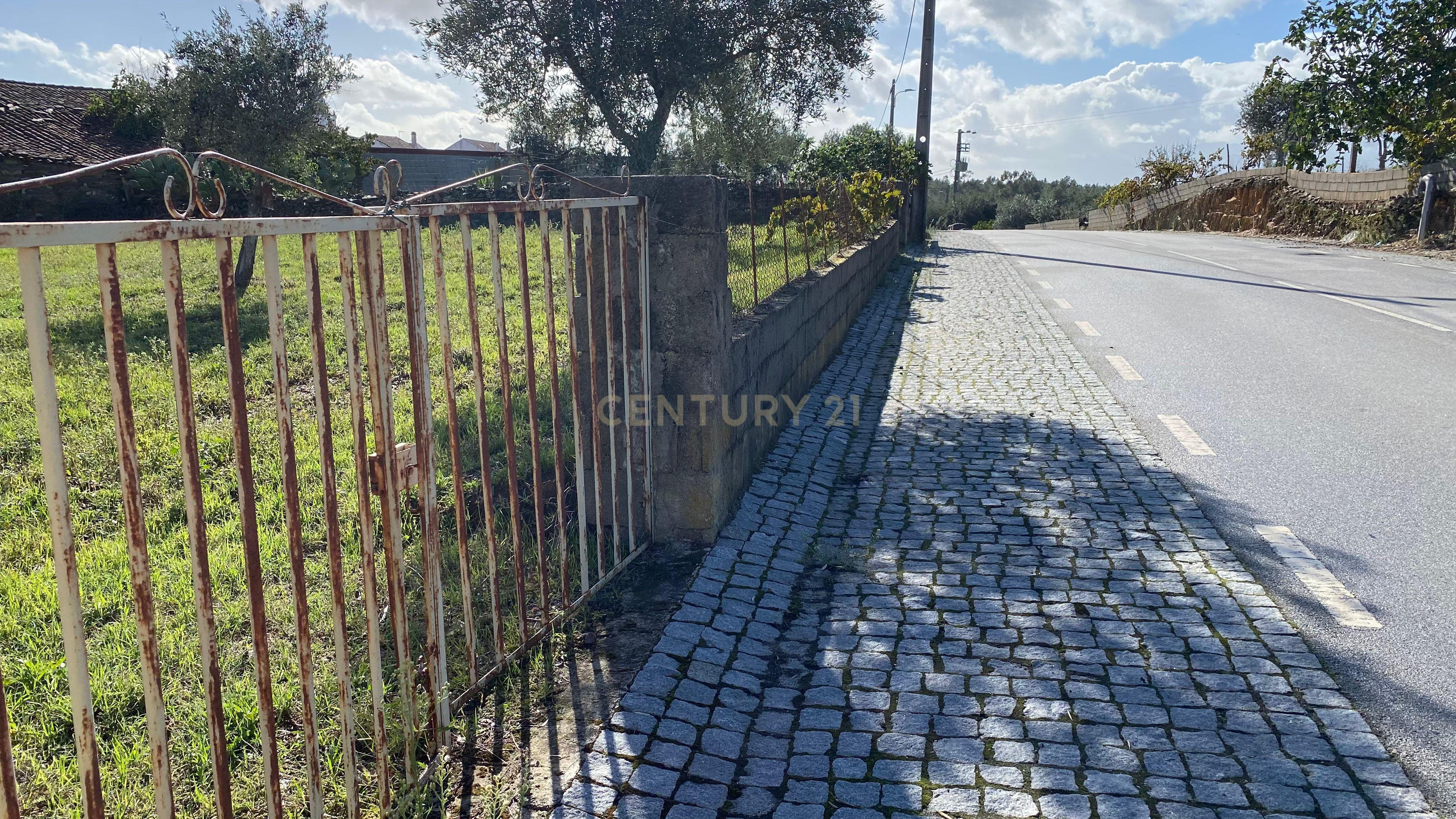 Terreno Rústico com 1360m2 em Benquerenças - Castelo Branco - Image 7